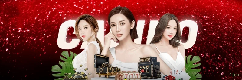 Formulário registro 11cc